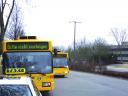 Kein seltenes Bild: Drei Busse kommen an der Haltestelle Universitätsstraße an. An der unübersichtlichen Stelle müssen Studis ohne Zebrastreifen über die Straße.	Foto: pm
